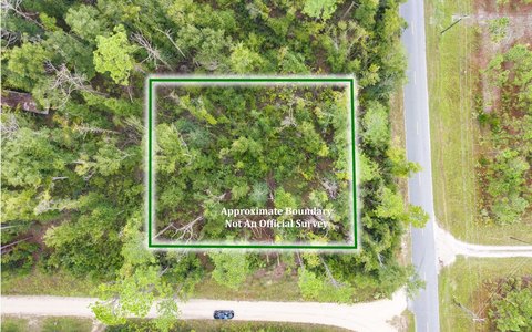 Vacant Land, Live Oak, FL