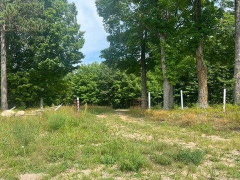 Buildable Hunting & Farmland Parcel