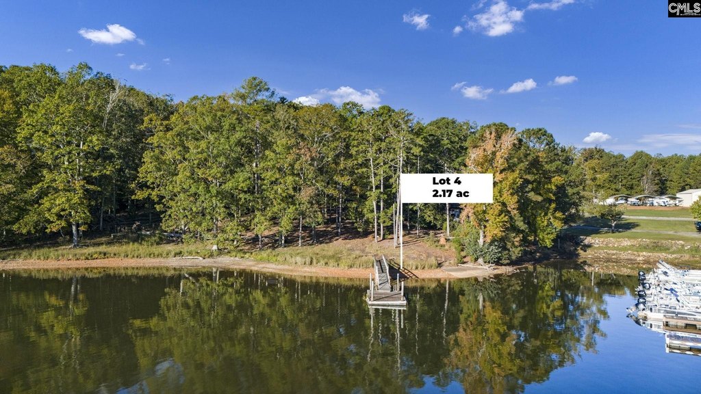 Picture 4