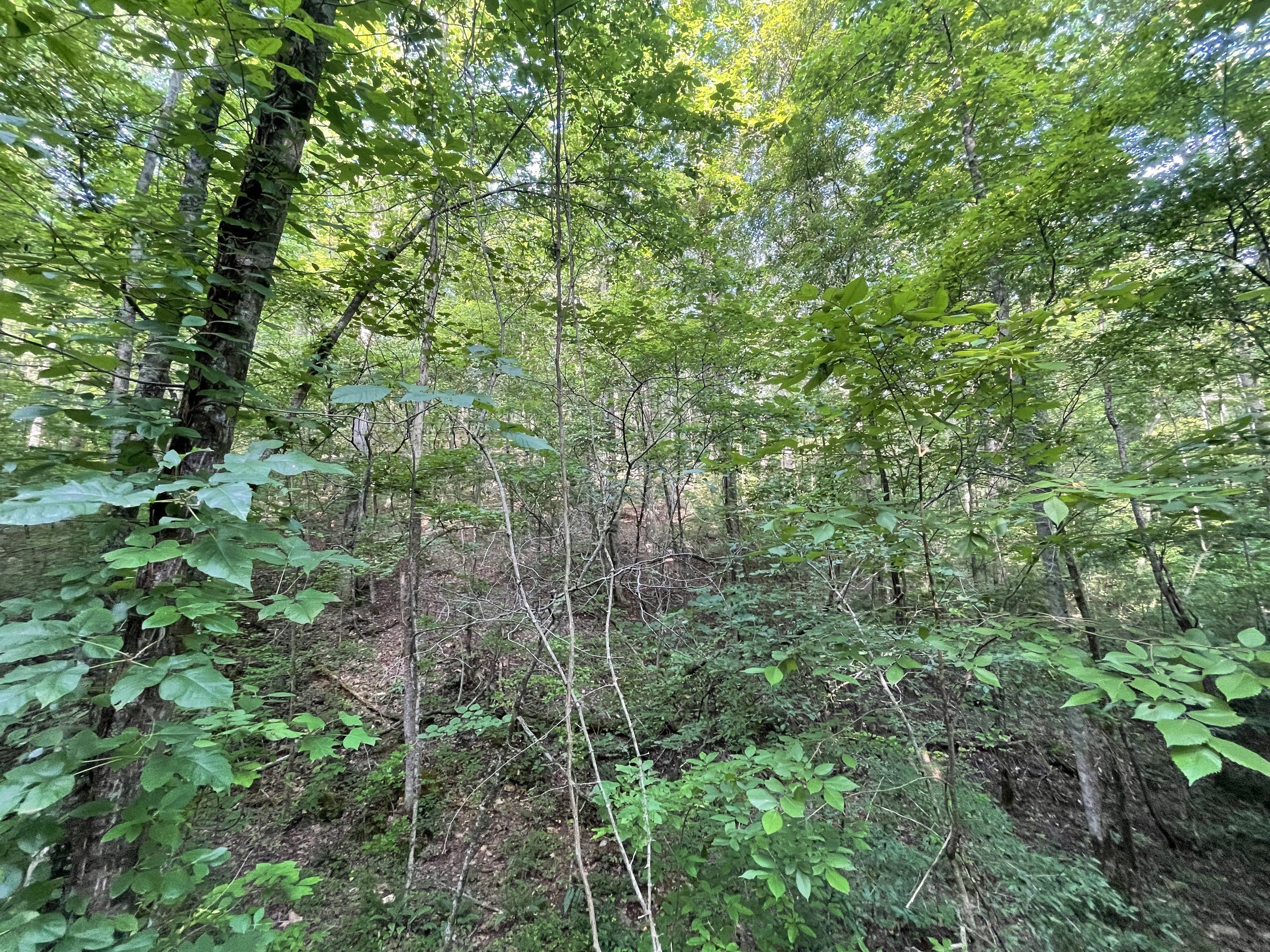 Ranger, GA Land For Sale