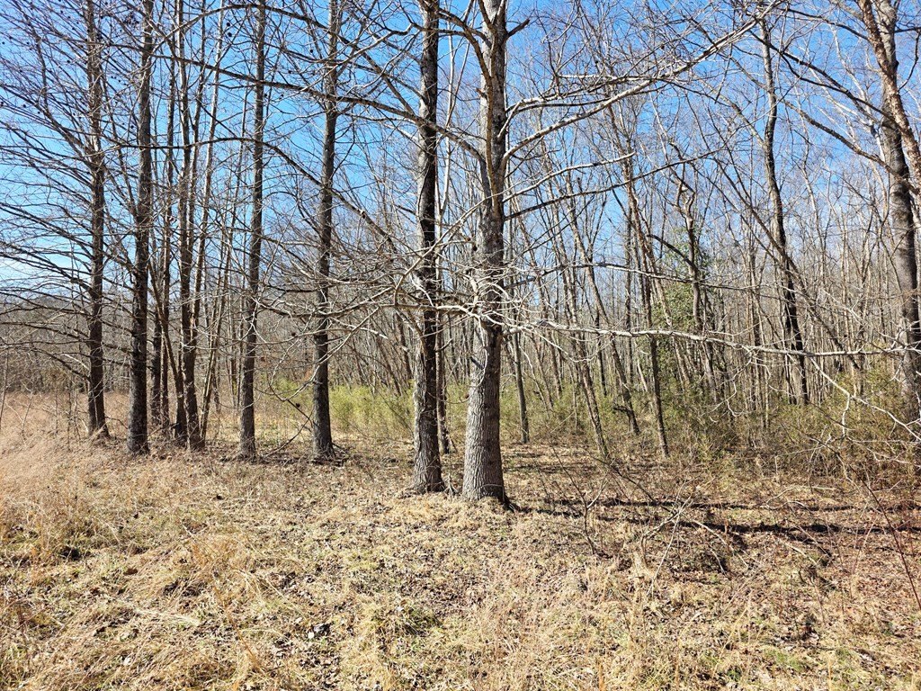 Picture 14