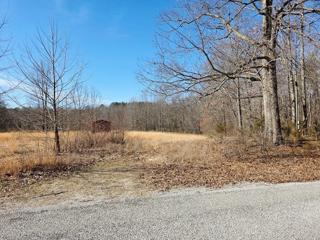 Picture 21