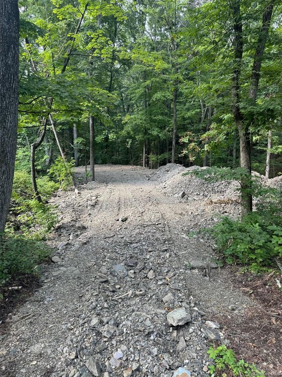 Picture 2
