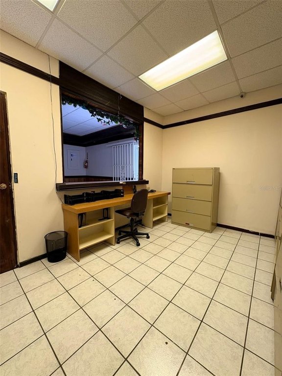 Picture 7