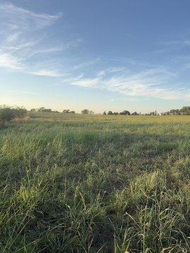 Land, Lead Hill, AR