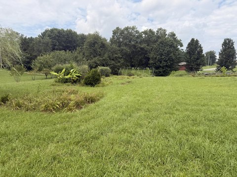 LAND - Campbellsville, KY