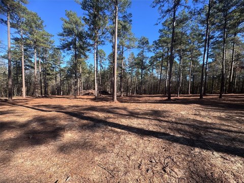 LAND - Minden, LA