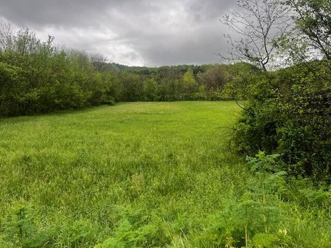 Smoky Mountains Land Opportunity