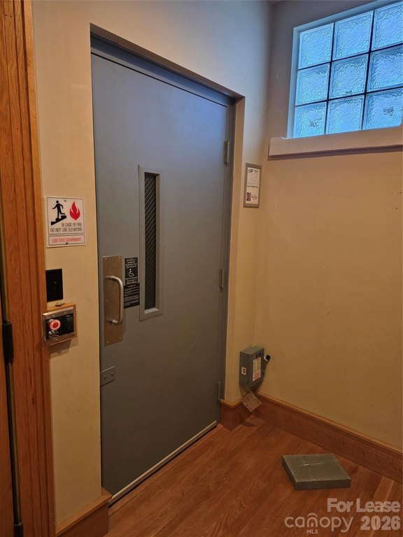 Picture 5