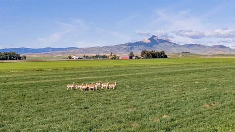 Land with Mountain and Agricultural Views