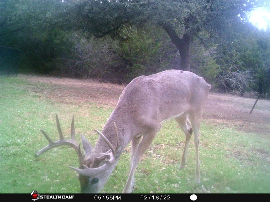 Picture 37