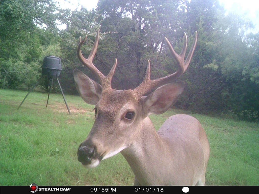 Picture 3
