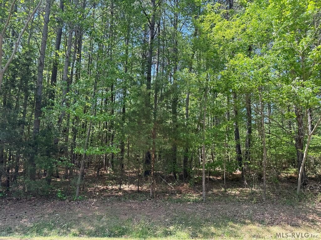 Residential Lot in Will's Landing