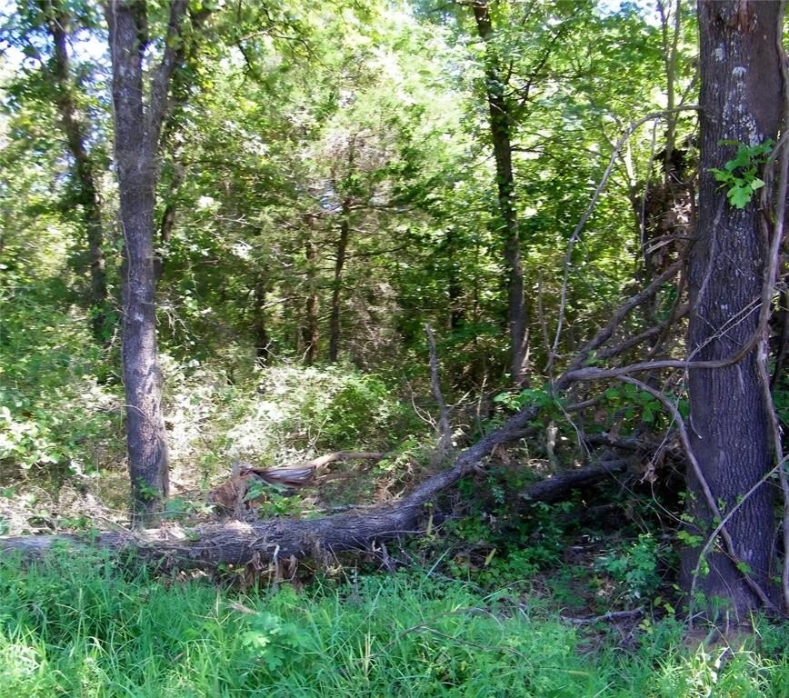 Picture 3