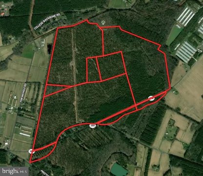 Timberland with Logging Road Access