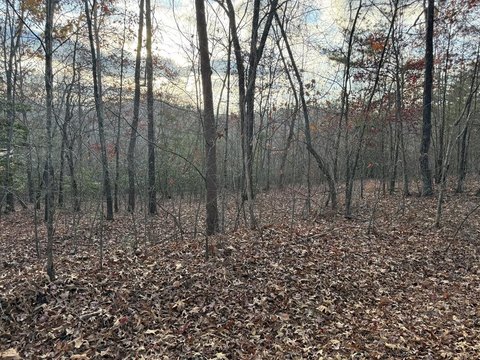 Vacant Lot, Mineral Bluff, GA