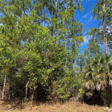 Naples Vacant Lot Opportunity