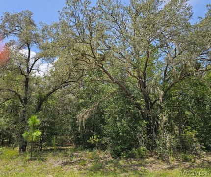 Land, Dunnellon, FL