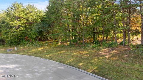 Lots & Acreage, Vonore, TN