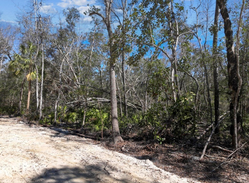 Picture 10