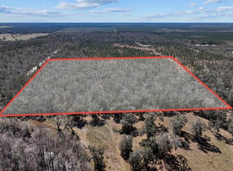 Untouched 40-Acre Florida Land