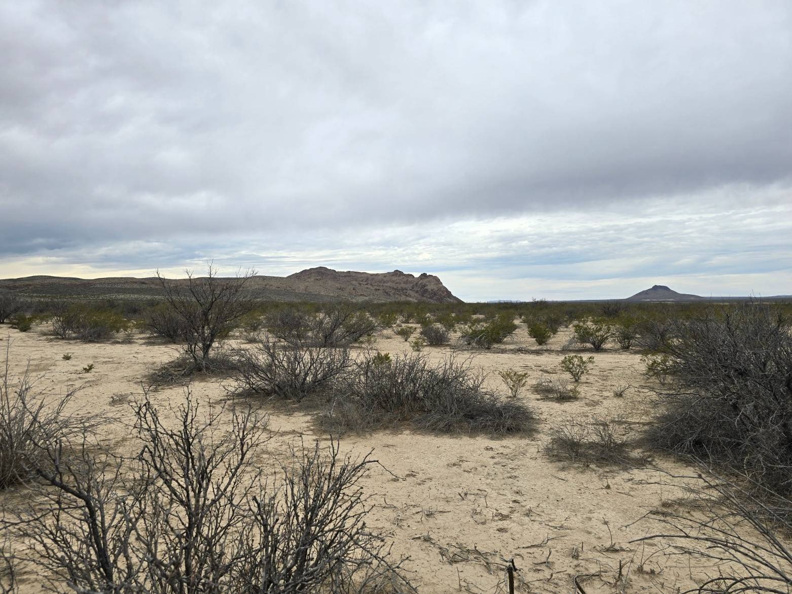 Vacant Land with Mountain Views