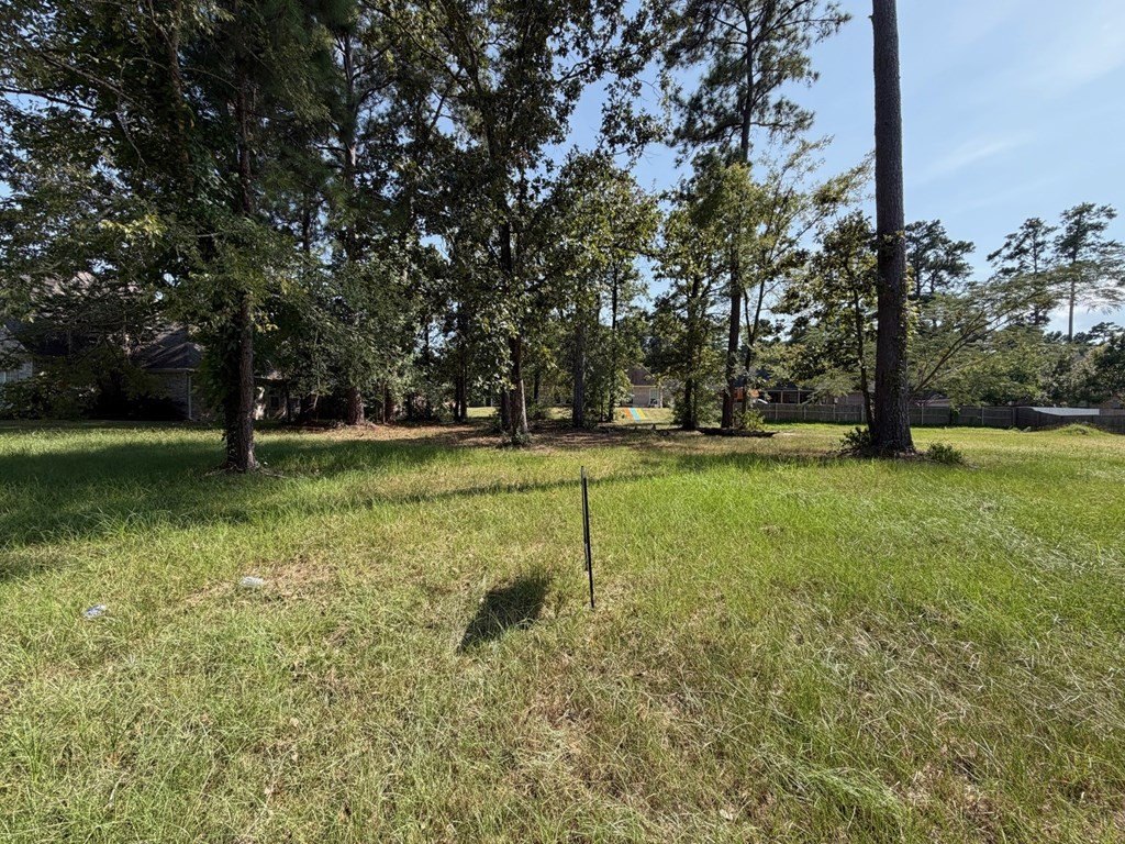 Picture 2
