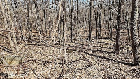 Land, Swiftwater, PA