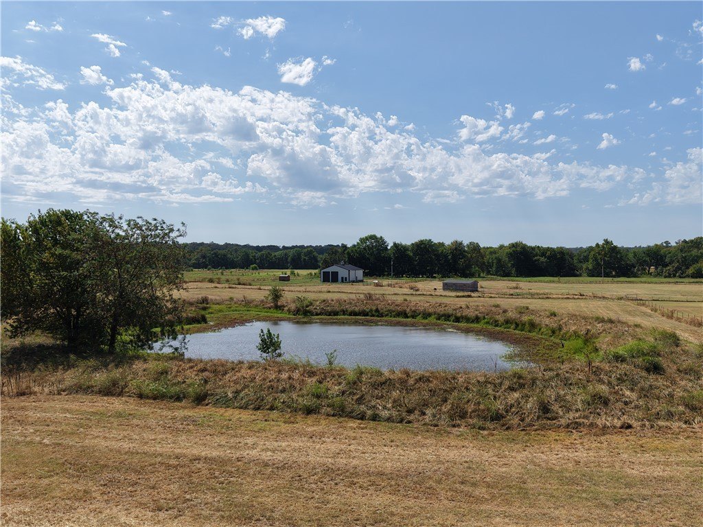 Picture 14