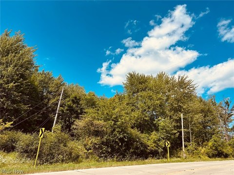 Land, Medina, OH
