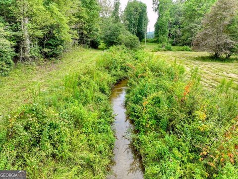 Blue Ridge Land with Views