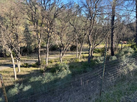 Timbered View Residential Lot