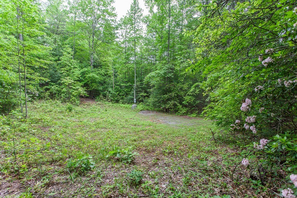 Picture 23