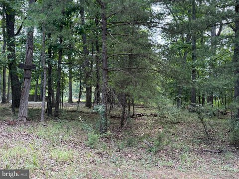 Land, GORE, VA