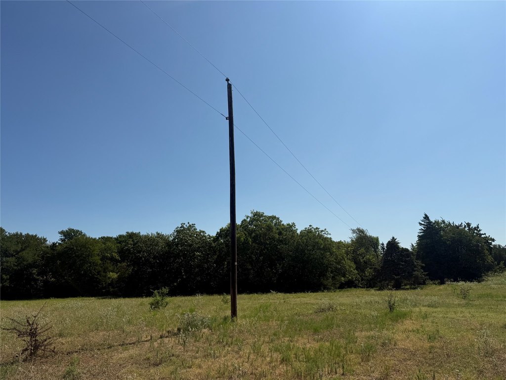 Picture 8