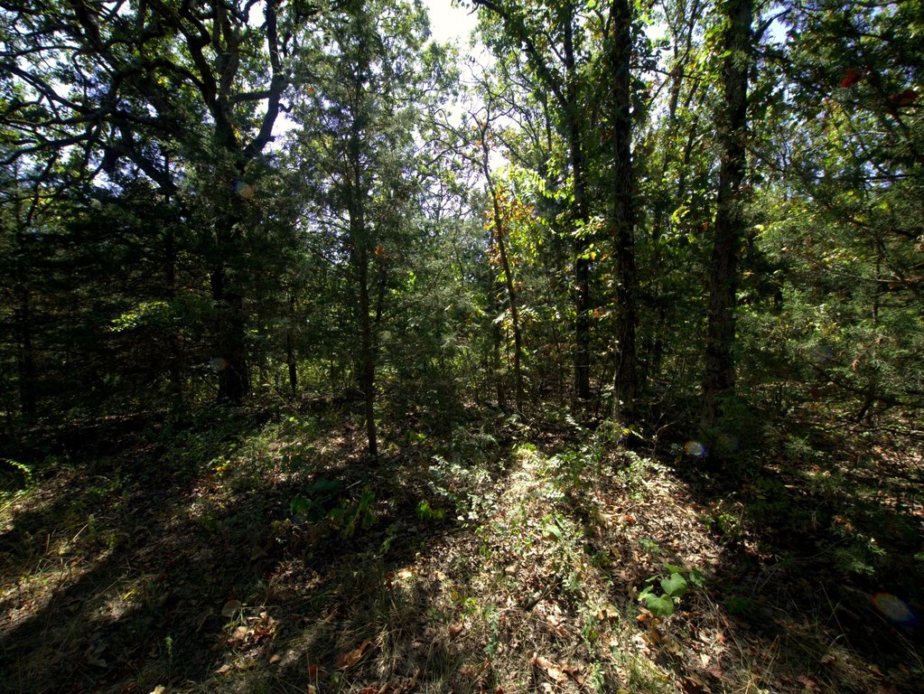 Picture 3