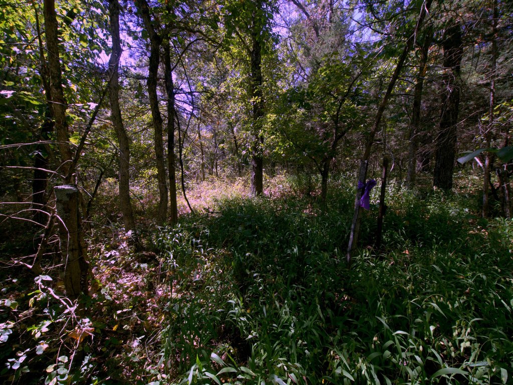 Picture 9