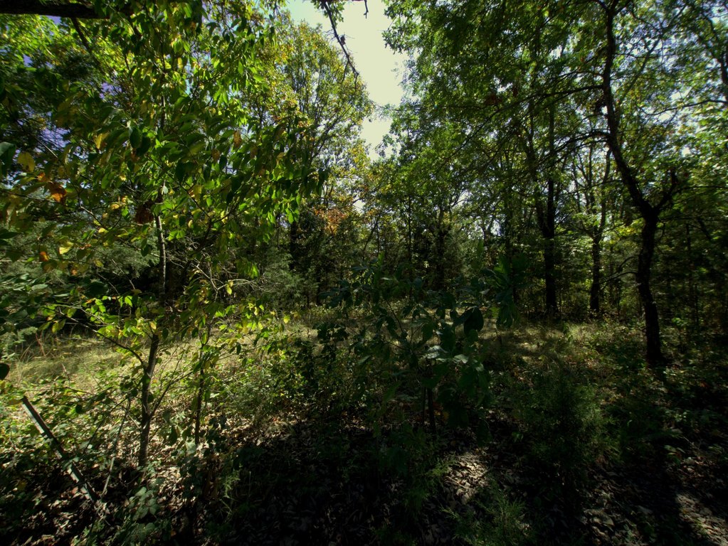 Picture 5