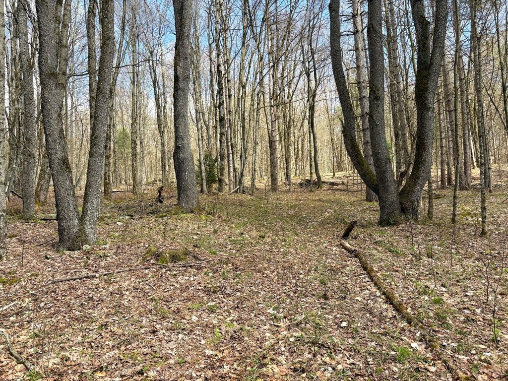 Picture 12