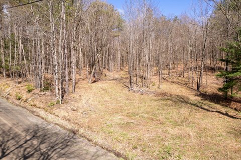 Wooded Recreation Land with Build Sites