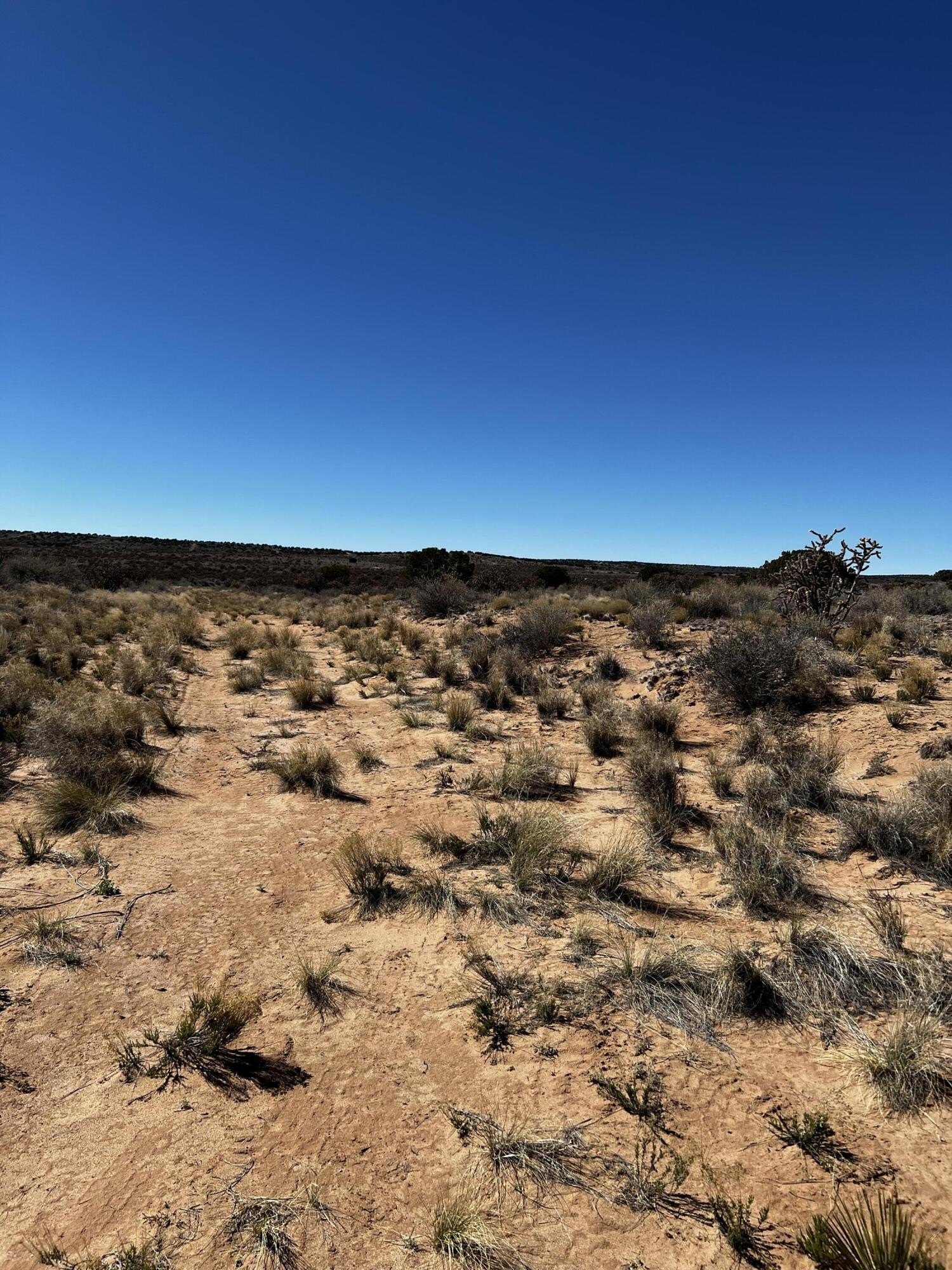 Rio Rancho Land For Sale