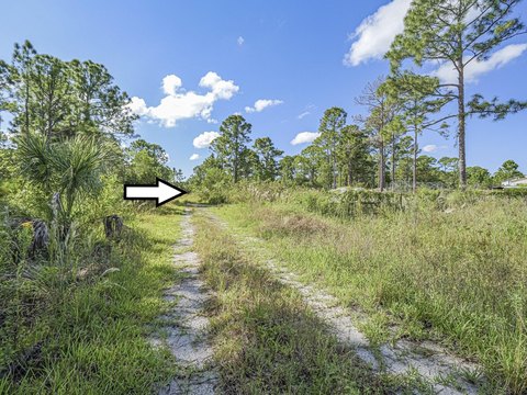 Land & Docks, Fellsmere, FL