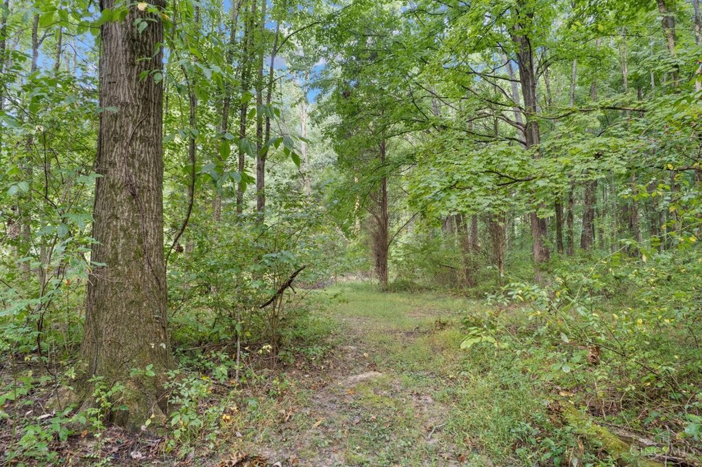 Picture 16
