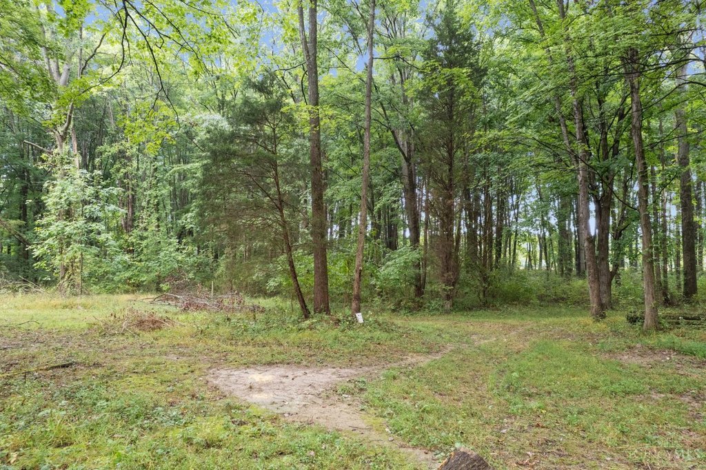 Picture 11