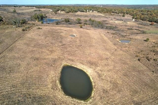 Picture 23