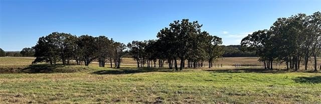 Picture 13
