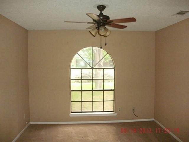 Picture 29