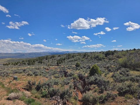 Gated Recreational Acreage with Pond