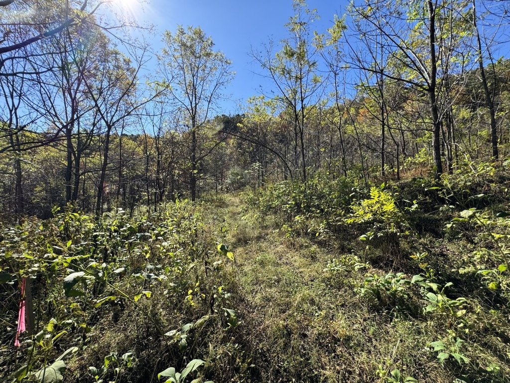 Picture 25