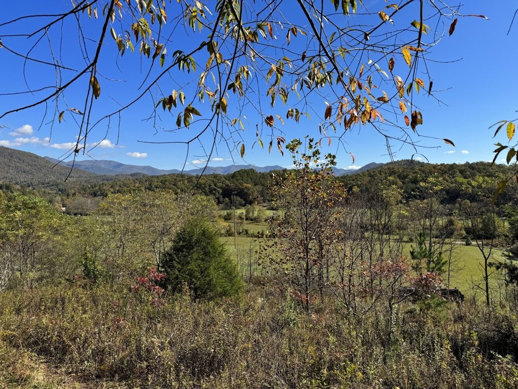 Picture 29